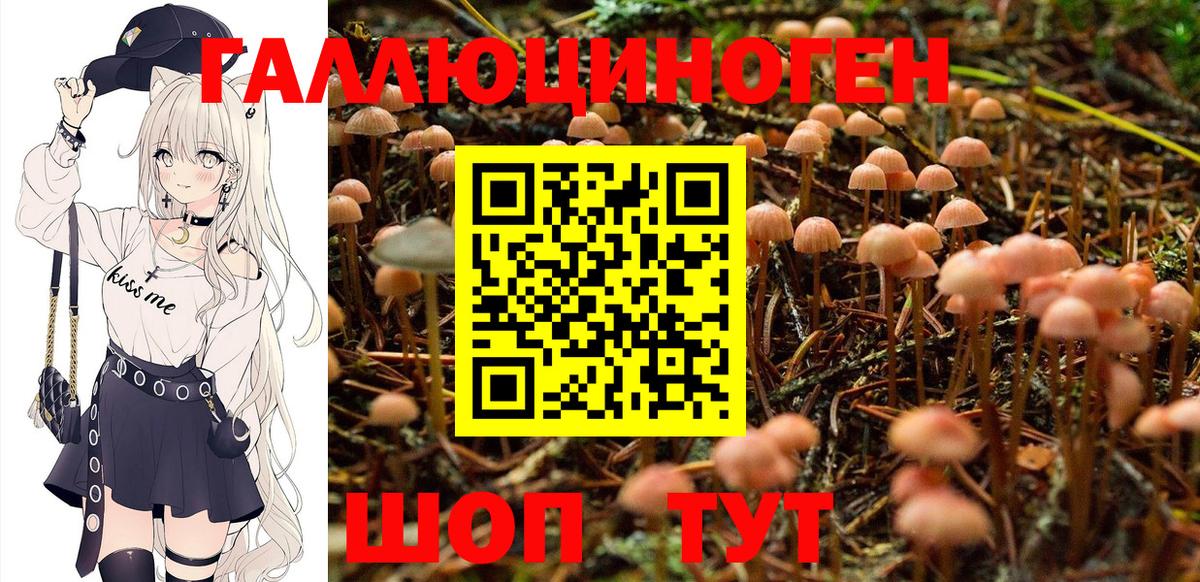 Галлюциногенные грибы Psilocybe  Галлюциногенные грибы Psilocybe  Вход с VPN  Кушва 
