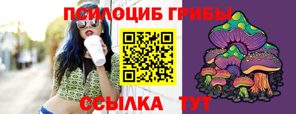 Псилоцибиновые грибы мицелий Кушва